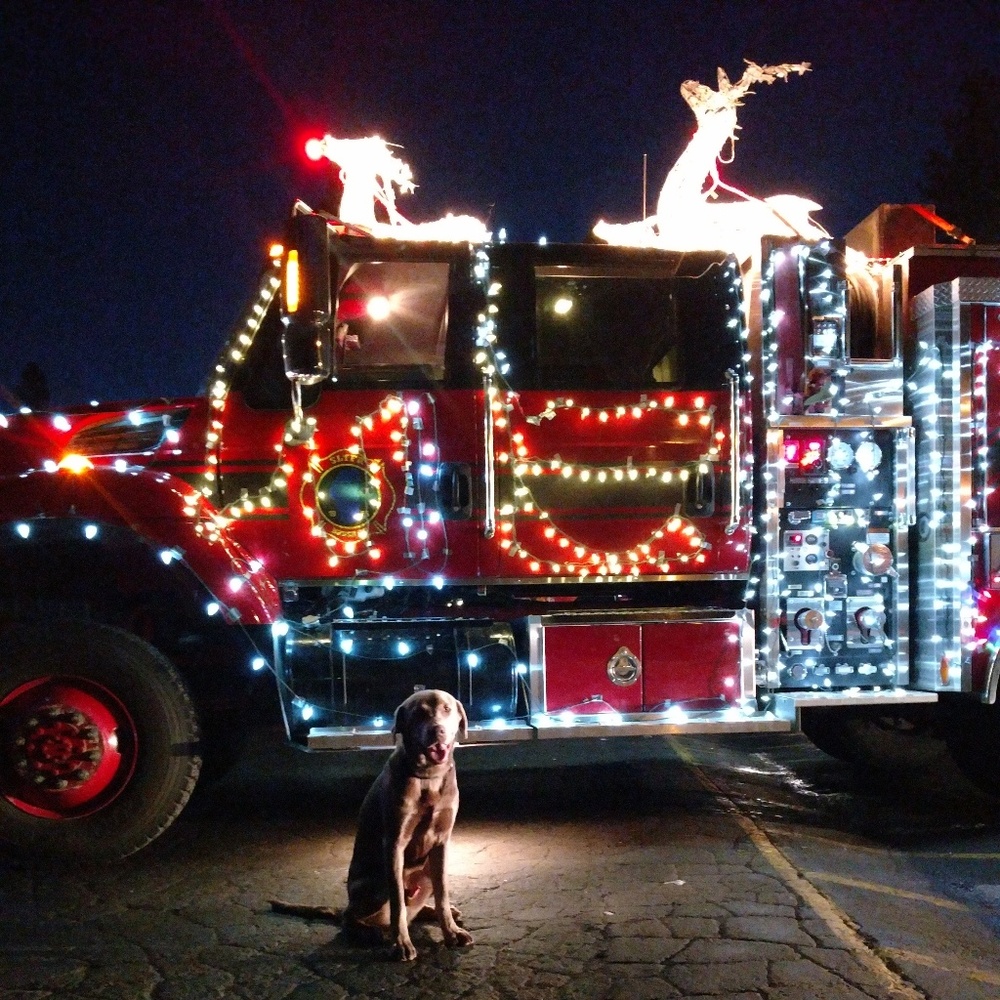 Meet your Posher, Kevin